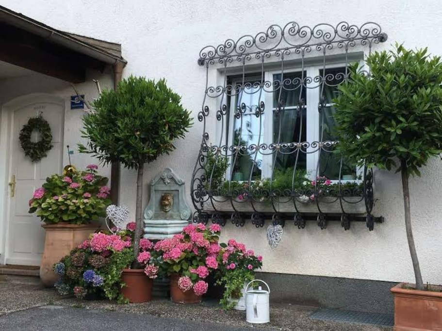 Dachwohnung Mit Seeblick Altmünster Exterior foto